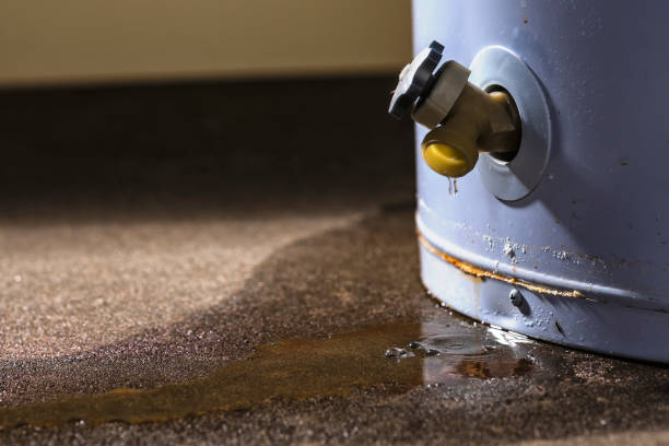 Best Ceiling water damage repair  in Bonnetsville, NC