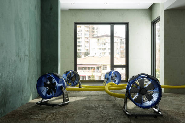 Best Water damage cleanup near me  in Bonnetsville, NC
